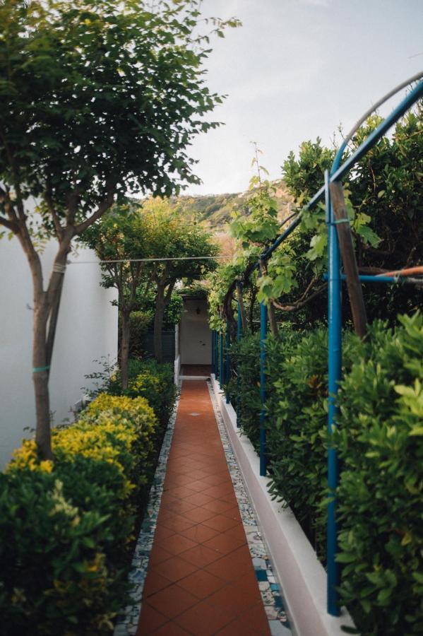 Maria Hotel Sant'Angelo (Isola d'Ischia)